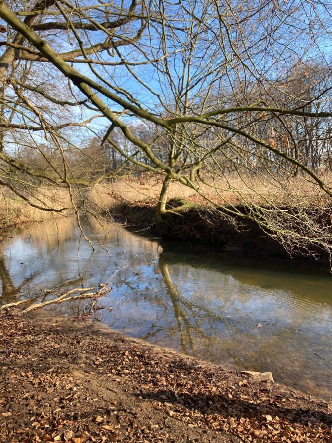 Ferienwohnung Am Waldrand Mit Sauna Biendorf Bagian luar foto