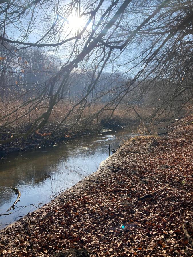 Ferienwohnung Am Waldrand Mit Sauna Biendorf Bagian luar foto
